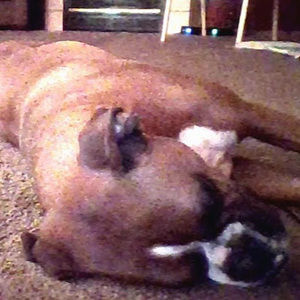 Meet your Posher, Addison